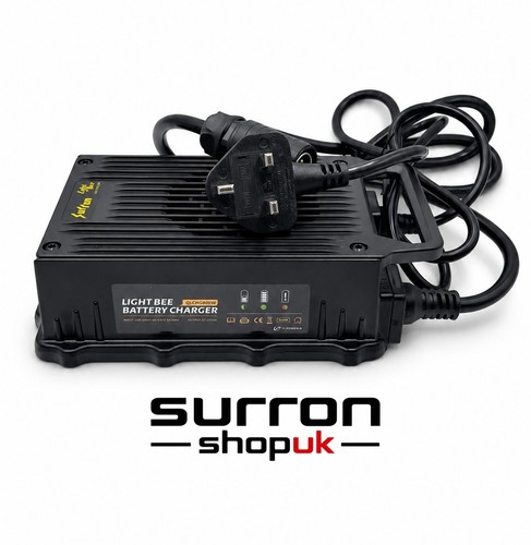 Surron lightbee charger 60v - charger,